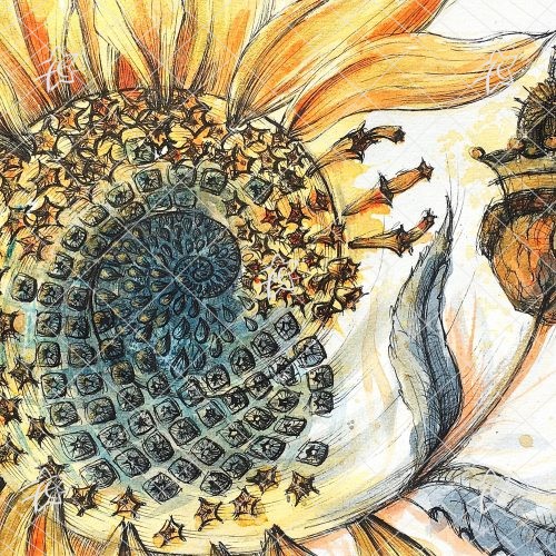Le Tourne-soi floriane esther oeuvre 270X180mm téléchargement illimité le tourne soi illustration tournesol acrylique encre ormat 270X180mm téléchargement illimité