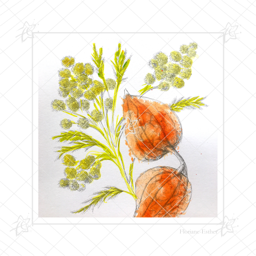 Physalis et mimosa carte carrée 14 cm illustration numérique illimitée physalis mimosa carte carrée 14cm illustration numérique téléchargement illimite