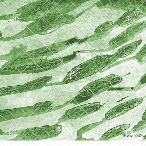 papier peint panoramique échantillon Loma Organik en HD vert pour décoration intérieure