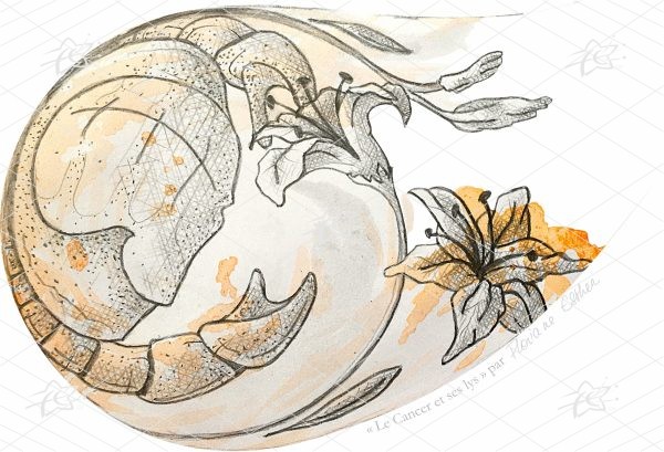Floriane Esther Illustration Cancer Signes du Zodiaque Fleuris lys carterie carte postale oeuvre numérique à télécharger et imprimer Illustration artistique du Cancer accompagnée de lys, associant la symbolique astrologique à une composition florale botanique dans un style décoratif et contemporain.