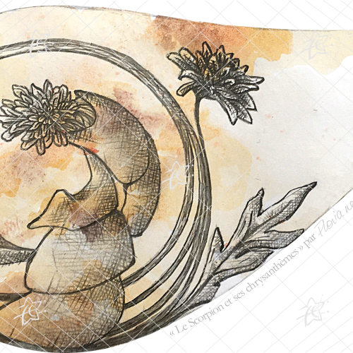 Illustration artistique représentant un scorpion entouré de chrysanthèmes détaillés, dans un style botanique et décoratif mêlant force animale et élégance florale.