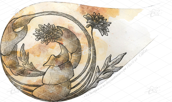 Illustration artistique représentant un scorpion entouré de chrysanthèmes détaillés, dans un style botanique et décoratif mêlant force animale et élégance florale.
