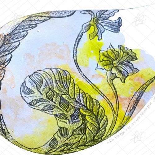 Floriane Esther Illustration Vierge Signes du Zodiaque Fleuris narcisse carterie carte postale oeuvre numérique à télécharger et imprimer Illustration artistique de la Vierge accompagnée de narcisses, associant la symbolique astrologique à une composition florale botanique réalisée dans un style décoratif et contemporain.